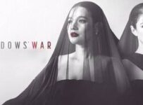 Widow's War